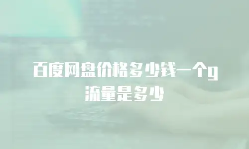 百度网盘价格多少钱一个g流量是多少