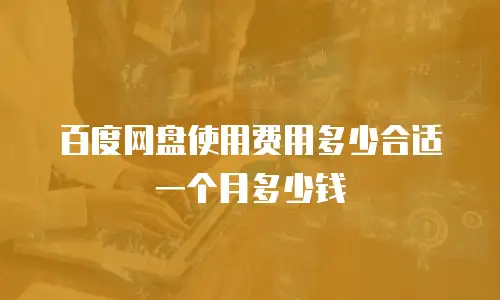 百度网盘使用费用多少合适一个月多少钱