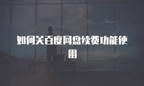 如何关百度网盘续费功能使用