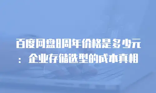 百度网盘8周年价格是多少元：企业存储选型的成本真相