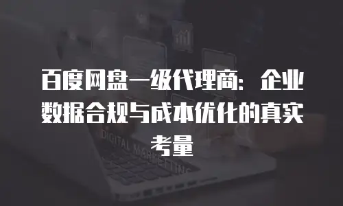 百度网盘一级代理商：企业数据合规与成本优化的真实考量