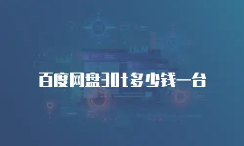 百度网盘30t多少钱一台