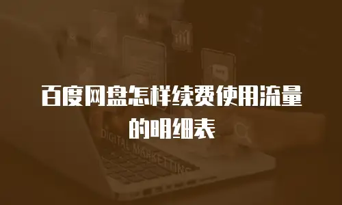 百度网盘怎样续费使用流量的明细表