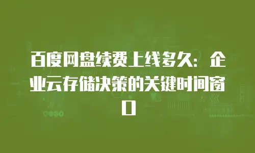 百度网盘续费上线多久：企业云存储决策的关键时间窗口