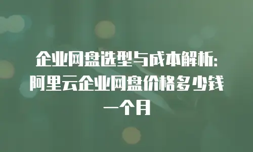 企业网盘选型与成本解析：阿里云企业网盘价格多少钱一个月