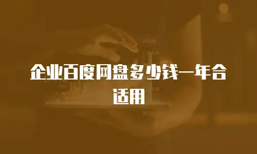 企业百度网盘多少钱一年合适用