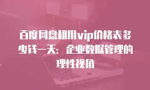 百度网盘租用vip价格表多少钱一天：企业数据管理的理性视角
