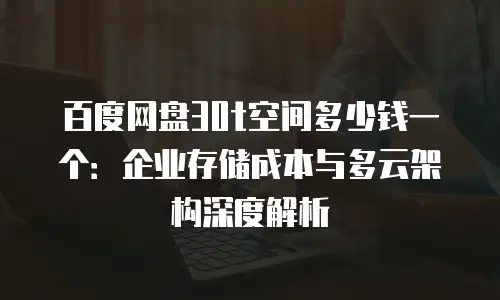 百度网盘30t空间多少钱一个：企业存储成本与多云架构深度解析