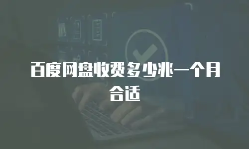 百度网盘收费多少兆一个月合适