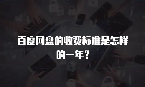 百度网盘的收费标准是怎样的一年？