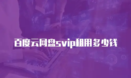 百度云网盘svip租用多少钱