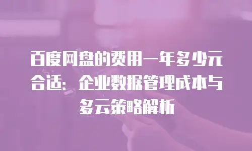 百度网盘的费用一年多少元合适：企业数据管理成本与多云策略解析