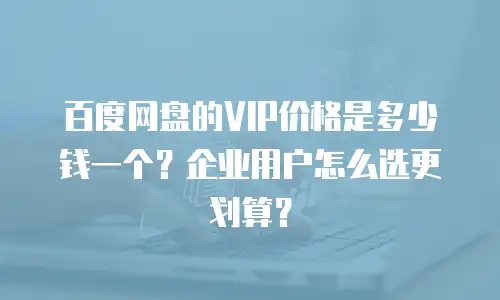 百度网盘的VIP价格是多少钱一个？企业用户怎么选更划算？