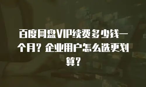 百度网盘VIP续费多少钱一个月？企业用户怎么选更划算？