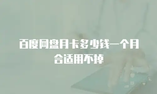 百度网盘月卡多少钱一个月合适用不掉