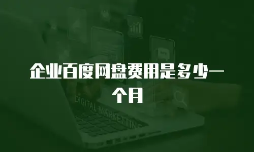 企业百度网盘费用是多少一个月
