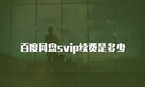 百度网盘svip续费是多少