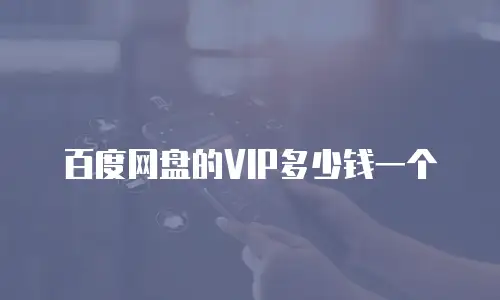 百度网盘的VIP多少钱一个