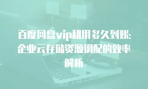 百度网盘vip租用多久到账：企业云存储资源调配的效率解析