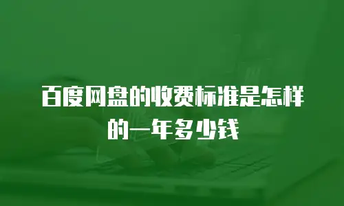 百度网盘的收费标准是怎样的一年多少钱
