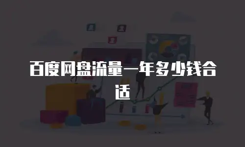 百度网盘流量一年多少钱合适