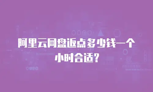 阿里云网盘返点多少钱一个小时合适？