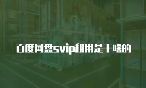 百度网盘svip租用是干啥的