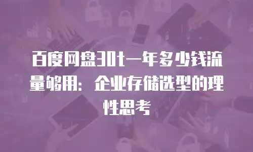 百度网盘30t一年多少钱流量够用：企业存储选型的理性思考