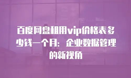 百度网盘租用vip价格表多少钱一个月：企业数据管理的新视角