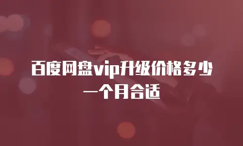 百度网盘vip升级价格多少一个月合适