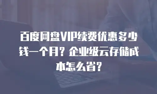 百度网盘VIP续费优惠多少钱一个月？企业级云存储成本怎么省？