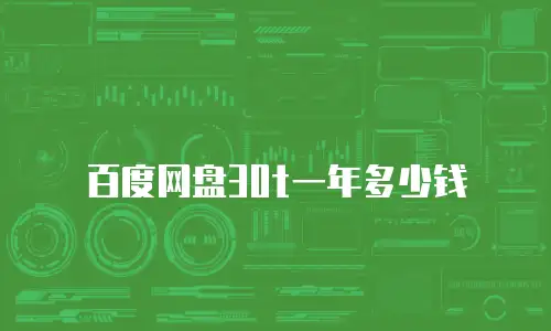 百度网盘30t一年多少钱