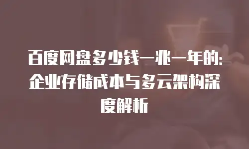 百度网盘多少钱一兆一年的：企业存储成本与多云架构深度解析