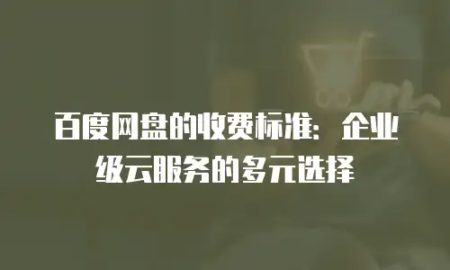 百度网盘的收费标准：企业级云服务的多元选择