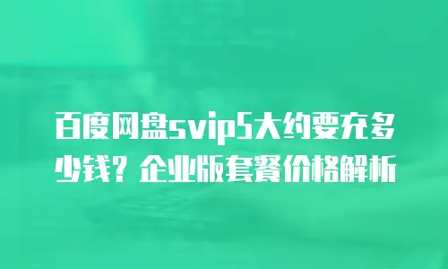 百度网盘svip5大约要充多少钱？企业版套餐价格解析
