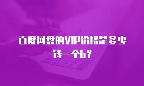 百度网盘的VIP价格是多少钱一个G？