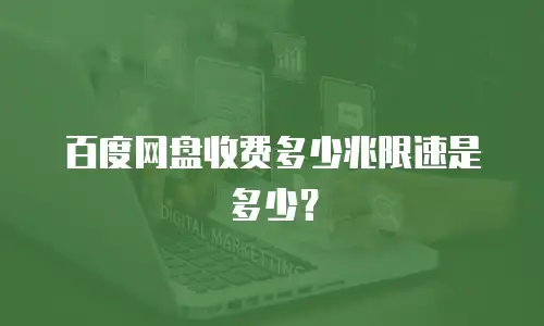 百度网盘收费多少兆限速是多少？