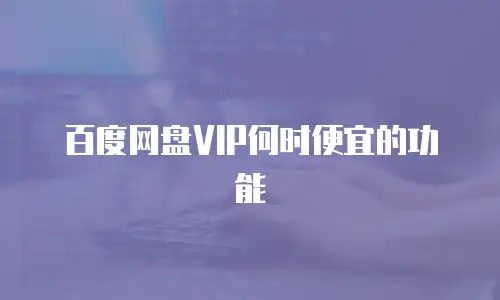 百度网盘VIP何时便宜的功能