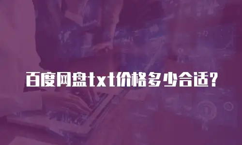百度网盘txt价格多少合适？
