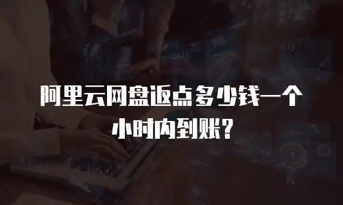 阿里云网盘返点多少钱一个小时内到账？