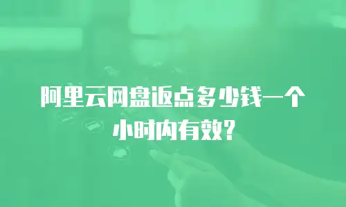 阿里云网盘返点多少钱一个小时内有效？