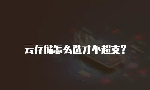 云存储怎么选才不超支？