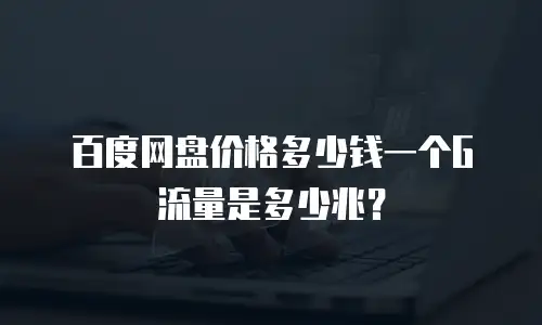 百度网盘价格多少钱一个G流量是多少兆？