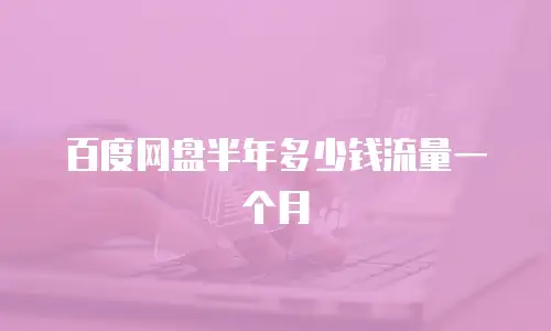 百度网盘半年多少钱流量一个月