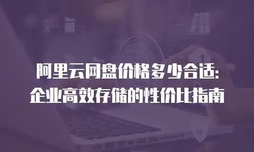 阿里云网盘价格多少合适：企业高效存储的性价比指南