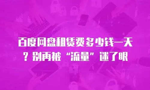 百度网盘租赁费多少钱一天？别再被&ldquo;流量&rdquo;迷了眼
