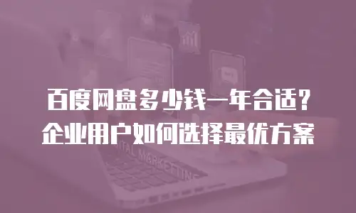 百度网盘多少钱一年合适？企业用户如何选择最优方案