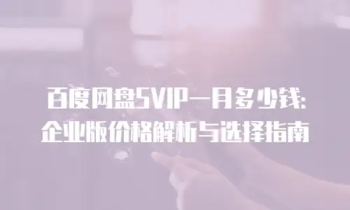 百度网盘SVIP一月多少钱：企业版价格解析与选择指南