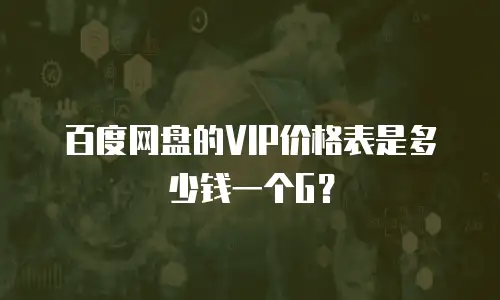百度网盘的VIP价格表是多少钱一个G？