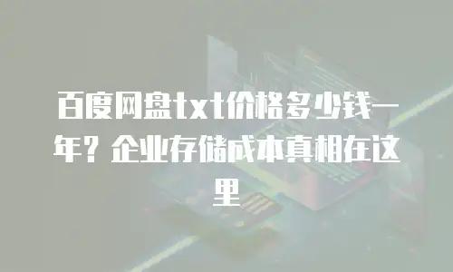 百度网盘txt价格多少钱一年？企业存储成本真相在这里